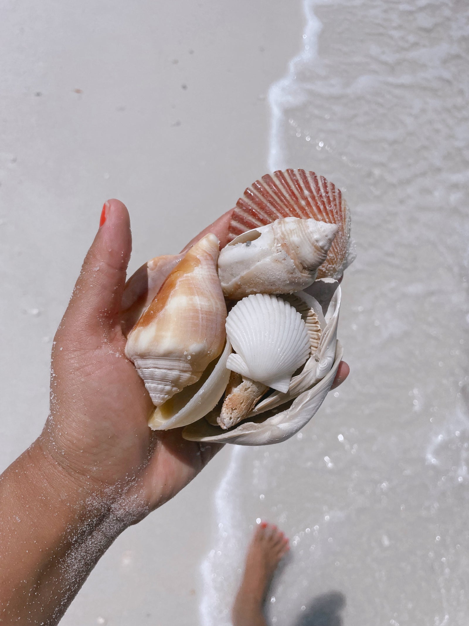 Florida Summers · Postcard 001